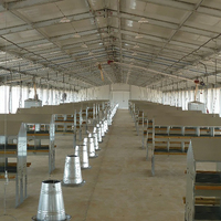 Nave Avícola de Estructura de Acero/Taller Metálico a Precio de Fábrica Barato Edificio de Almacén de Estructura de Acero con Diseño