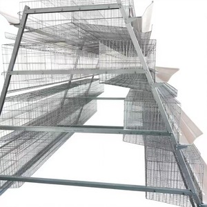 Volautomatisch A-Type Batterij Kippenkooi Stalen Gaas Met Legsysteem En Eierverzameling Voor De Pluimveehouderij - Product Image 1