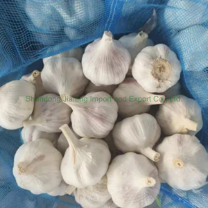 <span class=keywords><strong>Ajo</strong></span> Fresco Chino Premium, Blanco Puro, Saludable para Cocinar, Empaquetado en Bolsa de Malla, Listo para el Mercado - Product Image 6