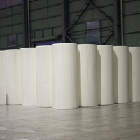 Bobines mères de papier toilette et de papier hygiénique en matières premières vierges pour la fabrication (Jumbo/Parent Rolls)