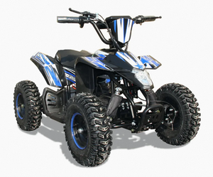 Quad VTT Enfant Industriel en Plastique DIY OEM/ODM 1300W 48V Antichoc 3ème Vitesse Tout-Terrain avec Vitesse Maximale de 47 Km/H - Product Image 1