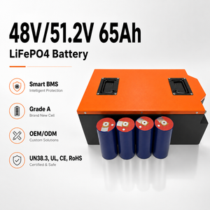 Batería Portátil Certificada de 48V/51.2V 60Ah 3072Wh 1C para Carrito de Golf, Triciclo, Motor, Celdas de Grado A LFP4850, Precio de Fábrica - Product Image 2