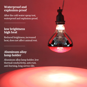 Chất lượng cao không thấm nước hồng ngoại nhiệt đèn cho gà con gà brooders động vật hồng ngoại bóng đèn nóng để bán - Product Image 5