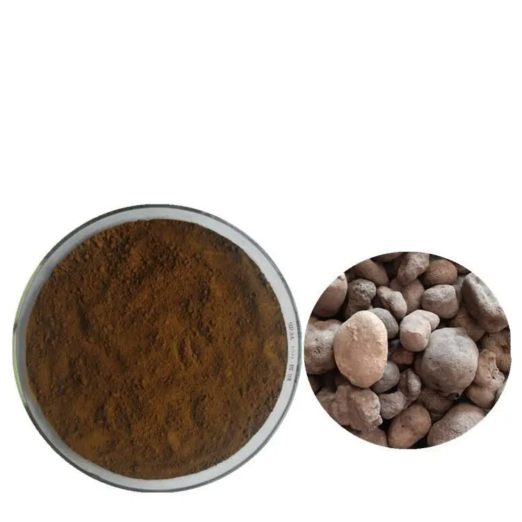 Hot Selling Pure Natural Omphalia Lapidescens Extract Powder Omphalia lapidescens Schroet Extract Powder