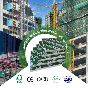 Proveedor de madera contrachapada con película de plástico <span class=keywords><strong>verde</strong></span> PP, madera contrachapada chapada/madera laminada/chapa de película <span class=keywords><strong>verde</strong></span> para encofrado de edificios marinos - Product Image 4