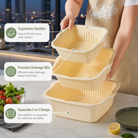 Passoire et égouttoir portable Lean, bac de lavage pour légumes et fruits avec ensemble d'organisateurs peu encombrants, surface lisse