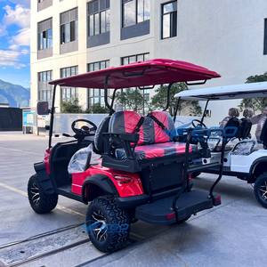 Carrito de Golf Todoterreno Personalizado, Eléctrico o de Gasolina, 2+2 Plazas, Legal para Circular en la Calle, Tipo Buggy de Patrulla - Product Image 6