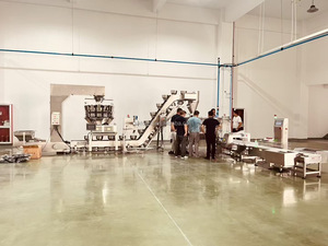 Détecteur de métaux alimentaires haute précision avec certificat d'usine |   Conformité aux normes industrielles et alimentaires | - Product Image 4