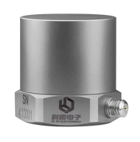 Capteur d'accélération à sortie de charge PE, accéléromètre piézoélectrique haute sensibilité, capteur de vibration uniaxial ±60g 1000pC/g 10kHz