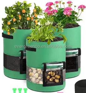 Planter Bags Plant Felt Bag Raised Growing Garden Potato Breathable For Fabric Pot Vegetable Flower Grow