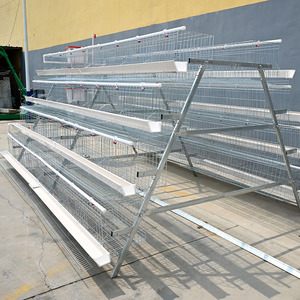 Lồng nuôi gà mới, dành cho gà đẻ trứng và gà thịt, kiểu chuồng trại chăn nuôi, hiện đang bán. - Product Image 5