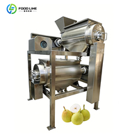 Appelpersmachine, mango-pulpverwerkingsinstallatie, gebruikt bananenpulpmachine