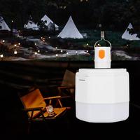 Ampoule LED de Gros à Prix Abordable, Lampe de Charge Rechargeable, Lumière Solaire d'Urgence pour Camping et Tente