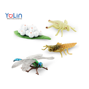 Modèle éducatif <span class=keywords><strong>de</strong></span> cycle <span class=keywords><strong>de</strong></span> vie des animaux pour l'apprentissage préscolaire, jouet <span class=keywords><strong>de</strong></span> simulation scientifique en plastique/PVC pour l'école - Product Image 1