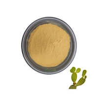 Aliments naturels purs et sains, poudre d'extrait de cactus, poudre d'extrait de cactus certifiée ISO