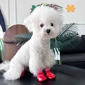 ถุงเท้าสุนัขสำหรับพื้นร้อน/เย็น ถุงเท้าลูก<span class=keywords><strong>สุนัข</strong></span>ป้องกันการเลียอุ้งเท้า ป้องกันการขีดข่วน รองเท้าสัตว์เลี้ยงกันลื่นและอุปกรณ์ป้องกันอุ้งเท้าสำหรับพื้นไม้เนื้อแข็ง - Product Image 5