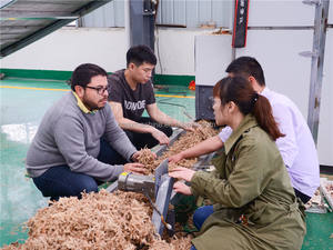 Essiccatore ad Alta Efficienza per Muschio Verde Cileno/Macchina per Disidratazione Muschio Sphagnum - Product Image 2