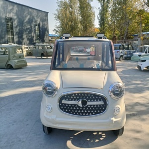 Voitures électriques NE pour adultes avec une autonomie de 101 à 200 km, une puissance nominale de 1000 W et une puissance maximale de 3000 W - Product Image 6