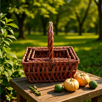 Panier en saule tressé à la main, directement de l'usine, panier décoratif pour fleurs, panier de rangement pour fruits et légumes pour la maison