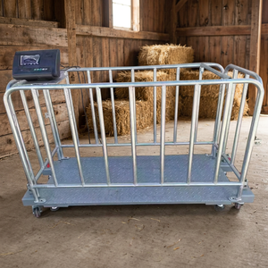 Báscula Ganadera Huaxin para Cerdos, Cabras y Vacas, Personalizable, de Acero al Carbono con Valla, Pantalla LED LCD, Certificación ISO9001 y CE, OEM/ODM - Product Image 1