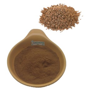 Extrait de <span class=keywords><strong>Carvi</strong></span> 100% Naturel de Haute Qualité <span class=keywords><strong>en</strong></span> <span class=keywords><strong>Poudre</strong></span>, Extrait Végétal Pur <span class=keywords><strong>en</strong></span> Vrac, Extrait de Graines de <span class=keywords><strong>Carvi</strong></span> <span class=keywords><strong>en</strong></span> <span class=keywords><strong>Poudre</strong></span> 10:1, Prix 1kg - Product Image 4