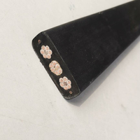 Elektrisches Flachbandkabel für Festoon-Turmkran-Hebevorrichtungen
