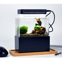 Aquarium LED portatif, Mini réservoir de poissons de bureau ou d'aquarium avec filtre à eau, lumière LED, pompe à Air USB, réservoir de poissons en plastique