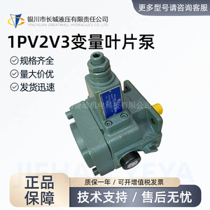 ปั๊มใบพัดปรับได้ยี่ห้อหยินชวน รุ่น 1PV2V3-4025RA01MC100A1 ปริมาณ 20 ลิตรต่อนาที แบบยึดหน้าแปลน สำหรับระบบไฮดรอลิก - Product Image 3
