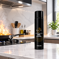 Extincteur à eau noire de 500 ml, vaporisateur portable, bouteille à main pour la protection de la cuisine, de la maison, du véhicule et du bureau