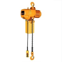Vente chaude d'usine 1 tonne 5 tonnes 10 tonnes palan à chaîne électrique personnalisé avec équipement de grue à chariot
