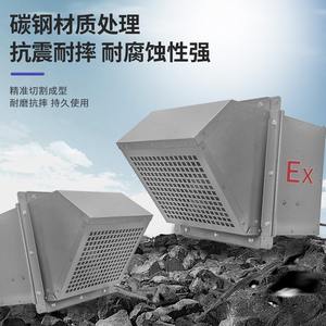 Ventilateur mural à flux axial haute intensité WEX 220V, grand volume d'air pour la ventilation et le refroidissement anti-explosion - Product Image 5