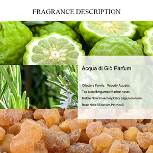 Aroma Único <span class=keywords><strong>Acqua</strong></span> <span class=keywords><strong>Di</strong></span> <span class=keywords><strong>Gio</strong></span>, Perfume en Aceite, Fabricantes de Perfumes al por Mayor, Aceites de Fragancia Amaderados Puros y Naturales de Aromaterapia Más Populares - Product Image 2
