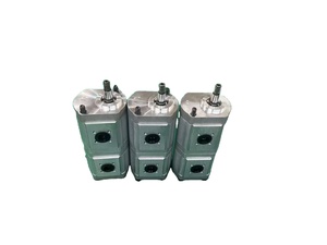 Pièces d'équipement de machines de construction 0510765343 Pompe à engrenages à trois liens - Product Image 1