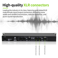 RAYHAYES R-223 Mixeur audio, égaliseur, processeur de signal audio numérique, gain, processeur audio numérique professionnel
