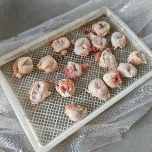 Máquina Deshuesadora de Muslos de Pollo de Alta Eficiencia, Separador Automático de Huesos de Pierna de Pollo para Procesamiento Avícola - Product Image 6