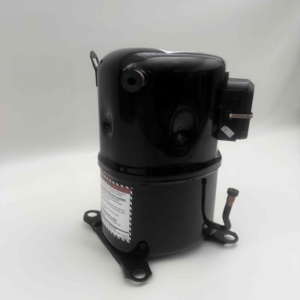 Tecumseh máy nén piston awg5535exg awg5535exc 10 HP Máy nén khí áp suất thấp DC điều hòa không khí máy nén - Product Image 4