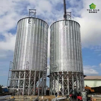 Silo in acciaio con fondo a tramoggia per alimentazione automatica e dosaggio, per piccole impianti di lavorazione cereali e allevamenti