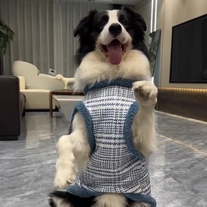 Chaqueta Gruesa y Cálida para Perros Grandes, Ropa de Invierno de Dos Patas para Golden Retrievers, Huskies y Samoyeds, Venta al Por Mayor - Product Image 4