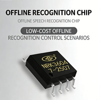 Produsen OEM Chip Kontrol Suara Seri NRK3600 Solusi Chip Suara Digital
