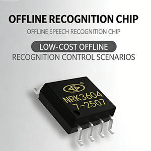 Solution de puce vocale numérique OEM, fabricant de puces vocales série NRK3600 - Product Image 3