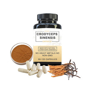Extracto de Cordyceps sinensis 50% Polisacáridos en polvo Extracto de hongo Cordyceps sinensis - Product Image 5
