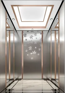 Hotel Apartments Passenger Lift 800kg Price Passenger Elevator Office Buildings Elevator