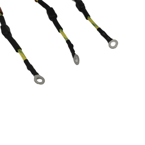 OEM su misura piccolo connettore accessori in rame conduttore + PVC piastra di messa a terra induttore cablaggio assemblaggio per motori - Product Image 2