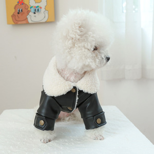 PETCIRCLE - Product Image 4