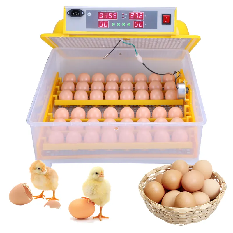 Faire JF-72 petit incubateur d'oeufs de poulet en vente