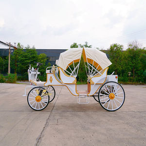 Calèche royale de mariage, calèche de tourisme pour passagers, calèche de parc, modèle européen, à vendre - Product Image 3