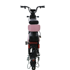 Batería de 20 pulgadas 48V <span class=keywords><strong>bicicleta</strong></span> eléctrica de entrega 500W asiento trasero derecho caja de entrega simple <span class=keywords><strong>bicicleta</strong></span> eléctrica para adultos motocicleta - Product Image 2