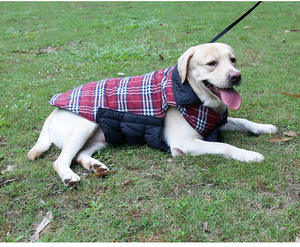Chaqueta Reversible para <span class=keywords><strong>Perro</strong></span> 2026, Diseño a Cuadros, Impermeable y Resistente al Viento, para Perros Rhodesian Ridgeback y Bulldog Inglés - Product Image 2
