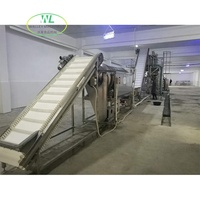 Hotsell Automatische Fruit- en Groente Verwerkingslijn voor Gedroogde Druiven, Pruimen en Rozijnen, Reinigings-, Blancherings- en Polijstapparatuur SUS304