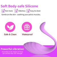 OEM & ODM 10-Gang USB Aufladbares Ferngesteuertes Vibrierendes Ei Lebensmittelechtes Silikon Liebes-Ei Sexspielzeug Vagina-Massagegerät für Frauen